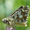 img16n.jpg, 20kB